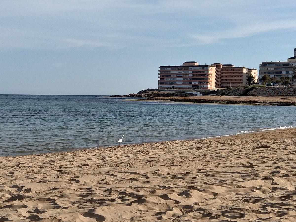 Ferienwohnung Torrevieja Exteriér fotografie
